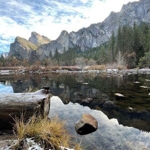 Meet your Posher, Julie